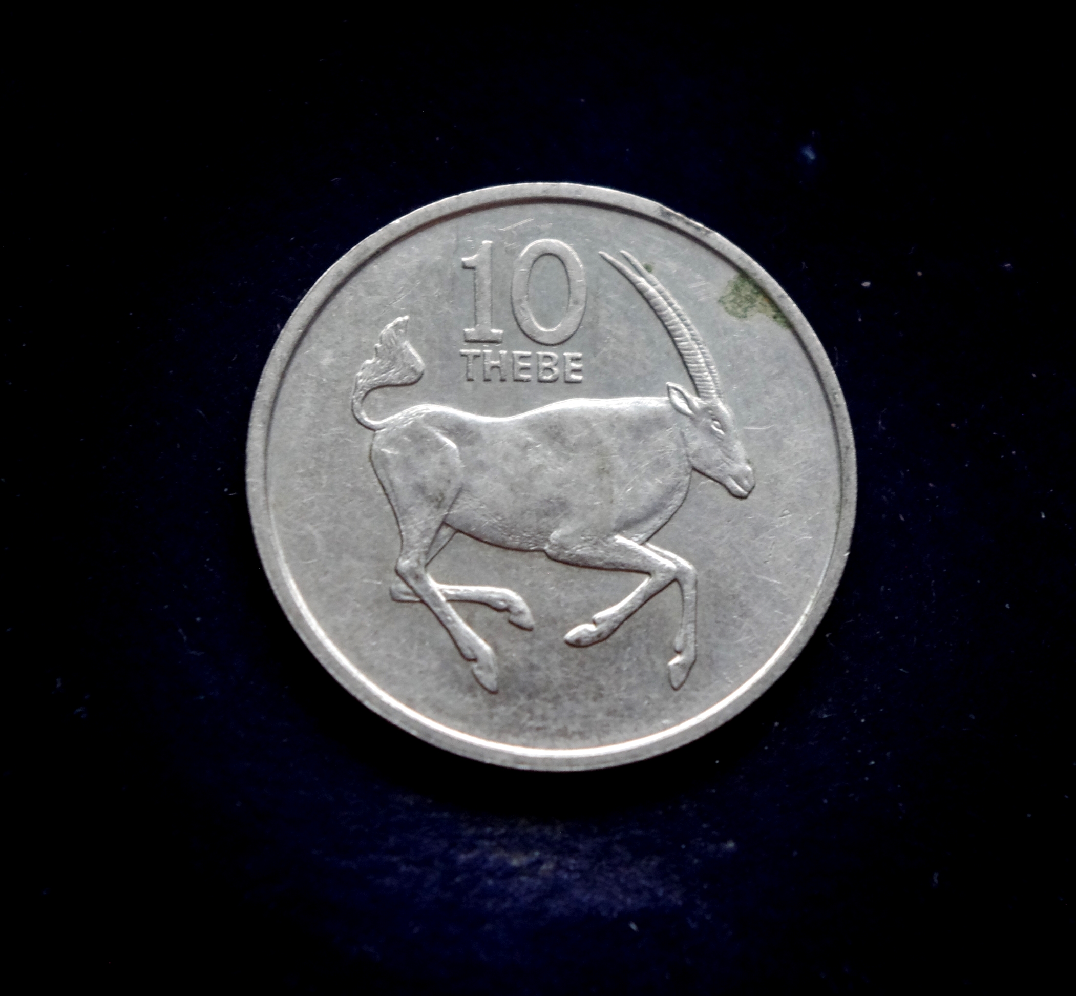 Botsvanos 10 tėbų moneta. Oriksas