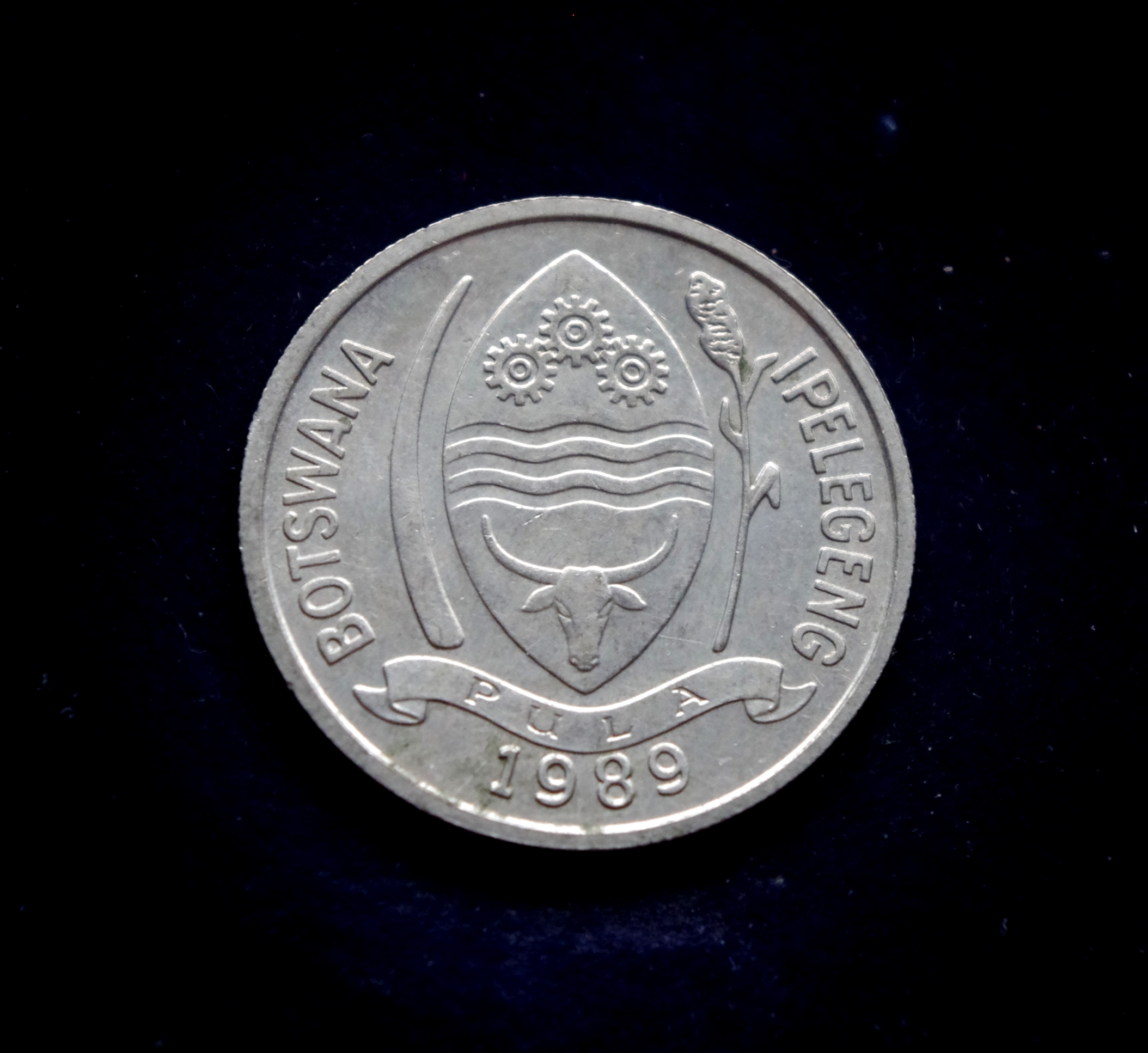 Botsvanos 10 tėbų moneta. Oriksas