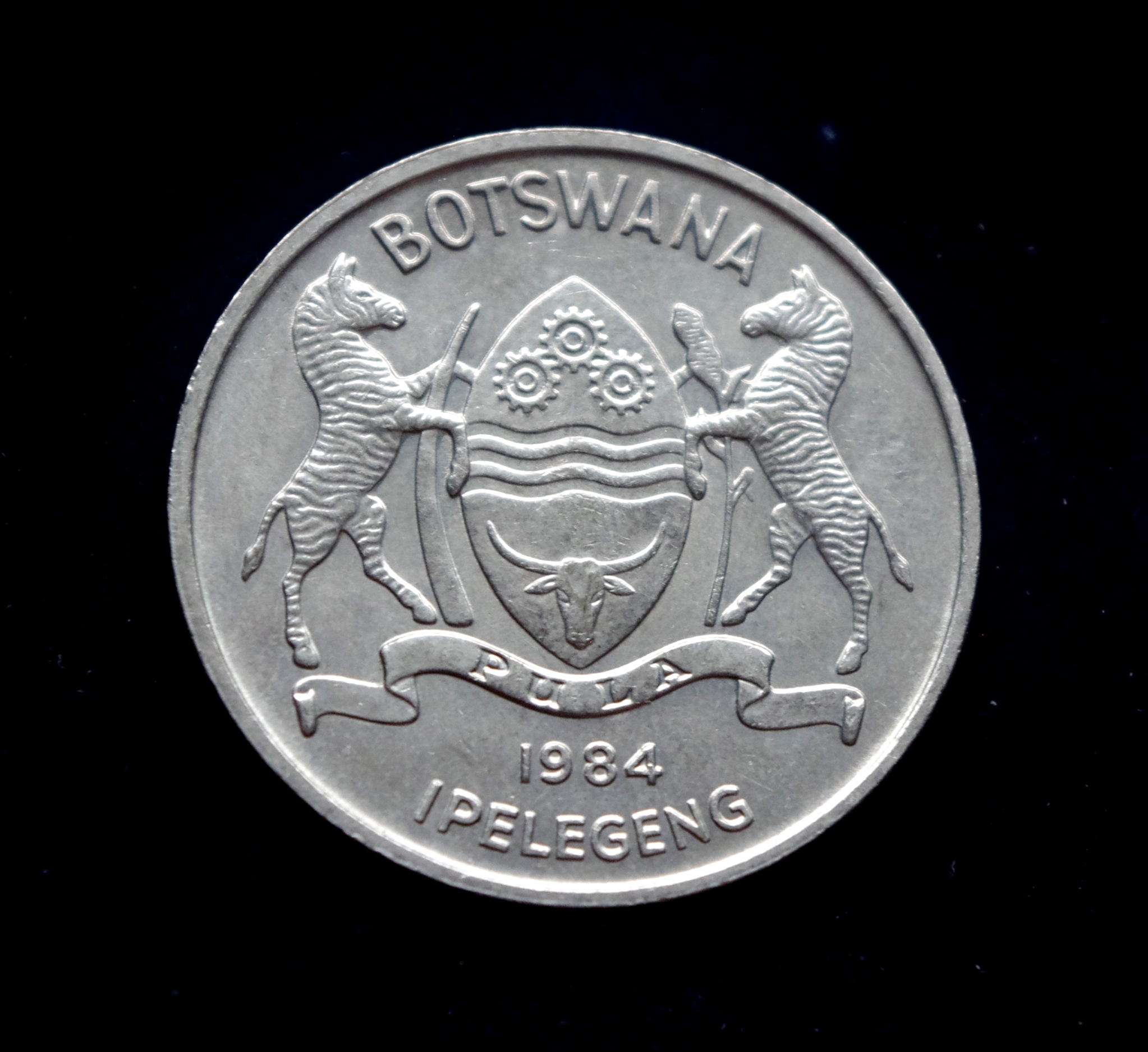 Botsvanos 50 tėbų moneta. Jūrinis erelis