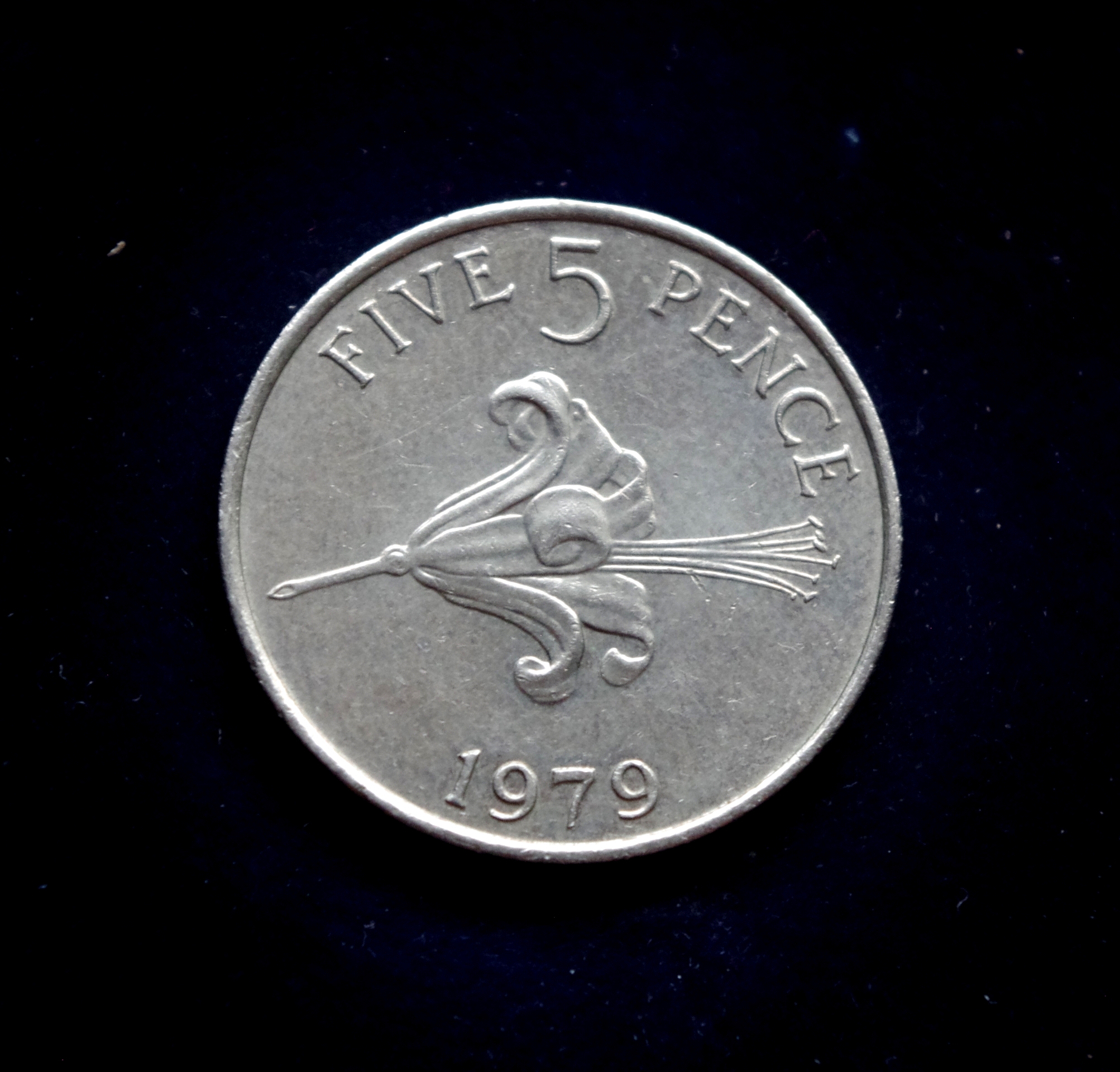 Gernsio 5 pensų moneta. Lelija