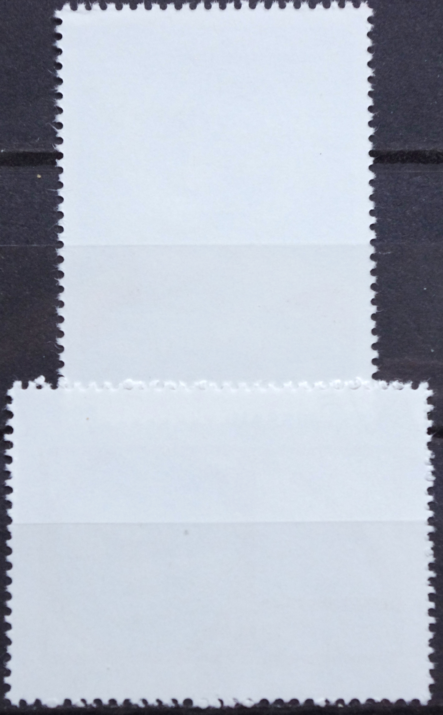 Pašto ženklų serija, Gvinėja Bisau. Jungtinių Tautų 40-ies metų sukaktis