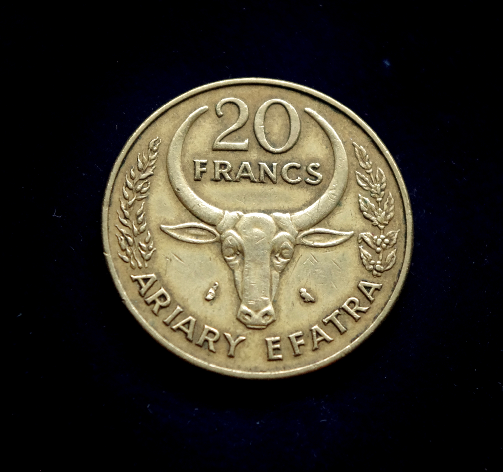 Madagaskaro 10 frankų moneta. Bulius ir vilnamedis