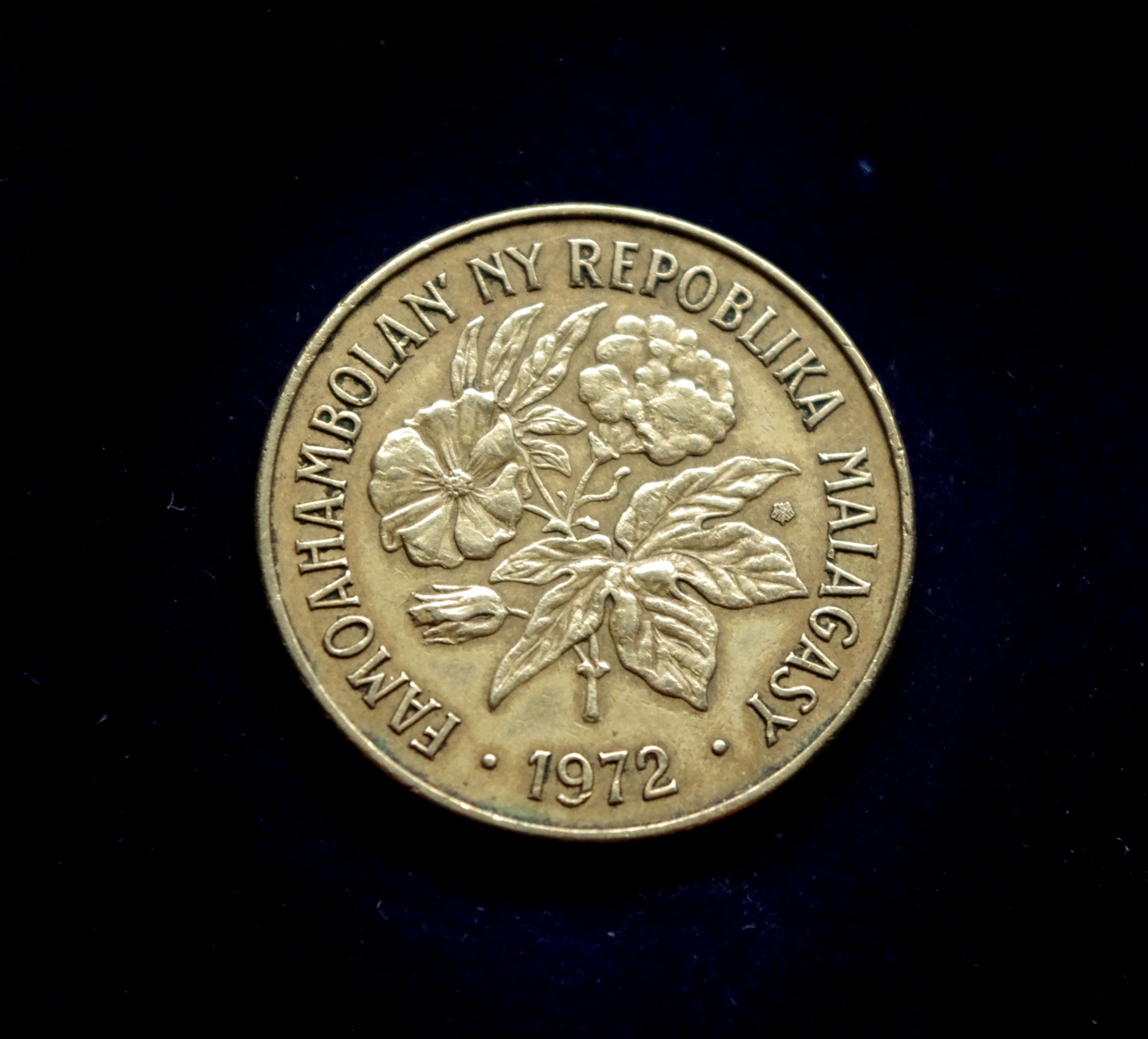 Madagaskaro 10 frankų moneta. Bulius ir vilnamedis