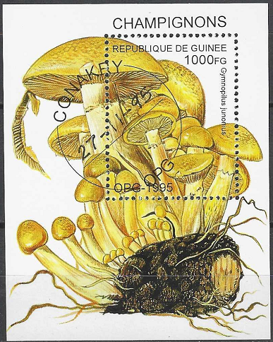 Pašto blokas, Gvinėja. Grybai
