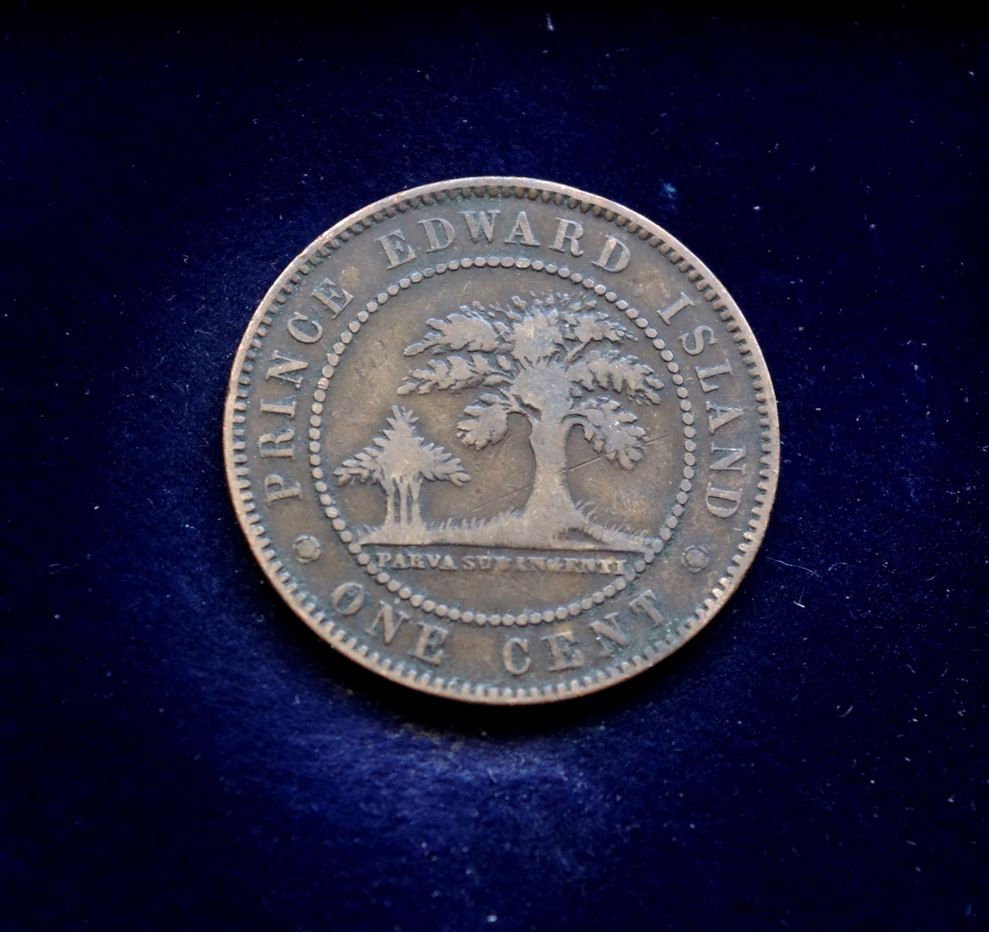 Kanados provincijos, Princo Edvardo salos 1 cento moneta