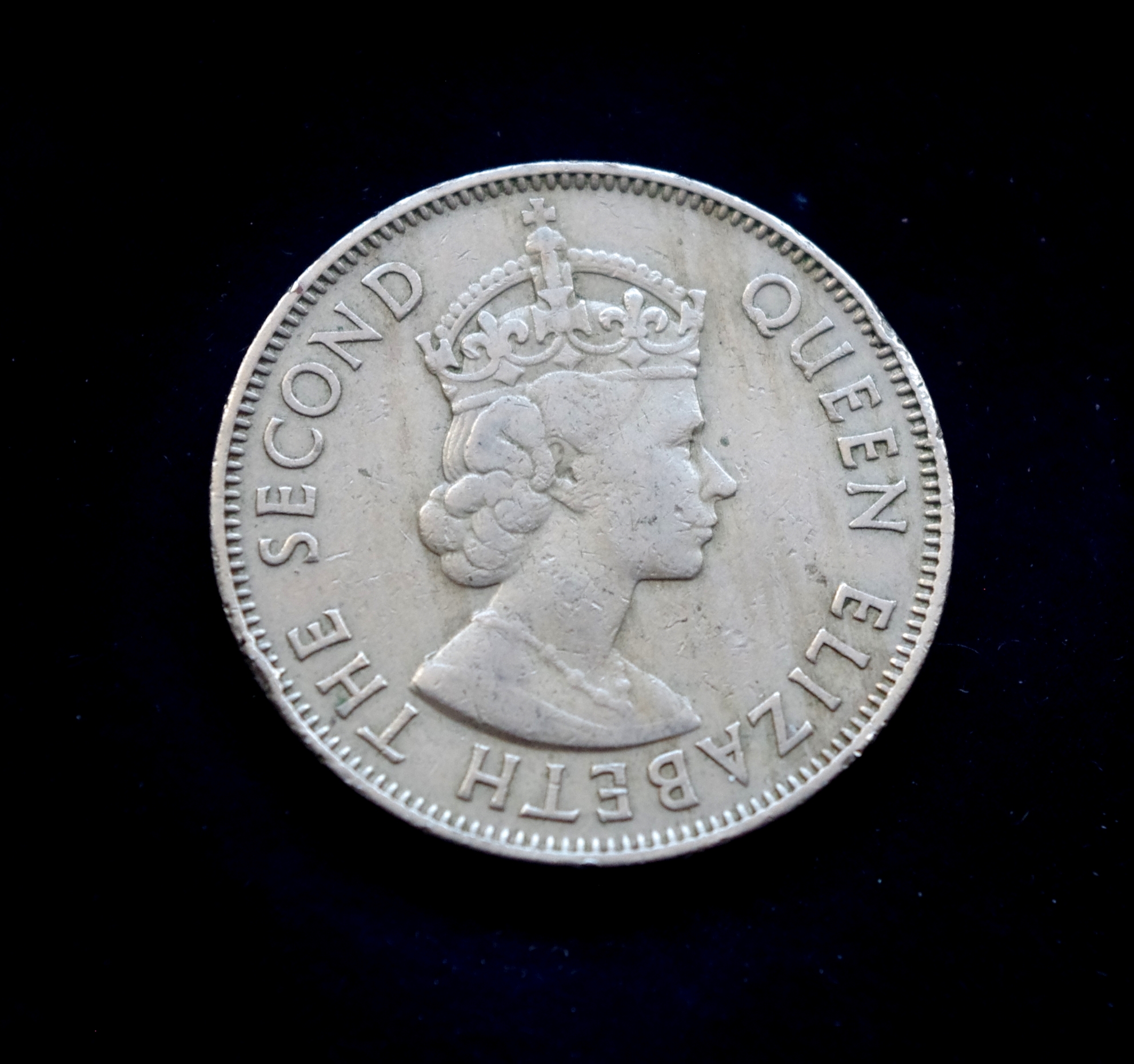 Fidžio 1 florino moneta