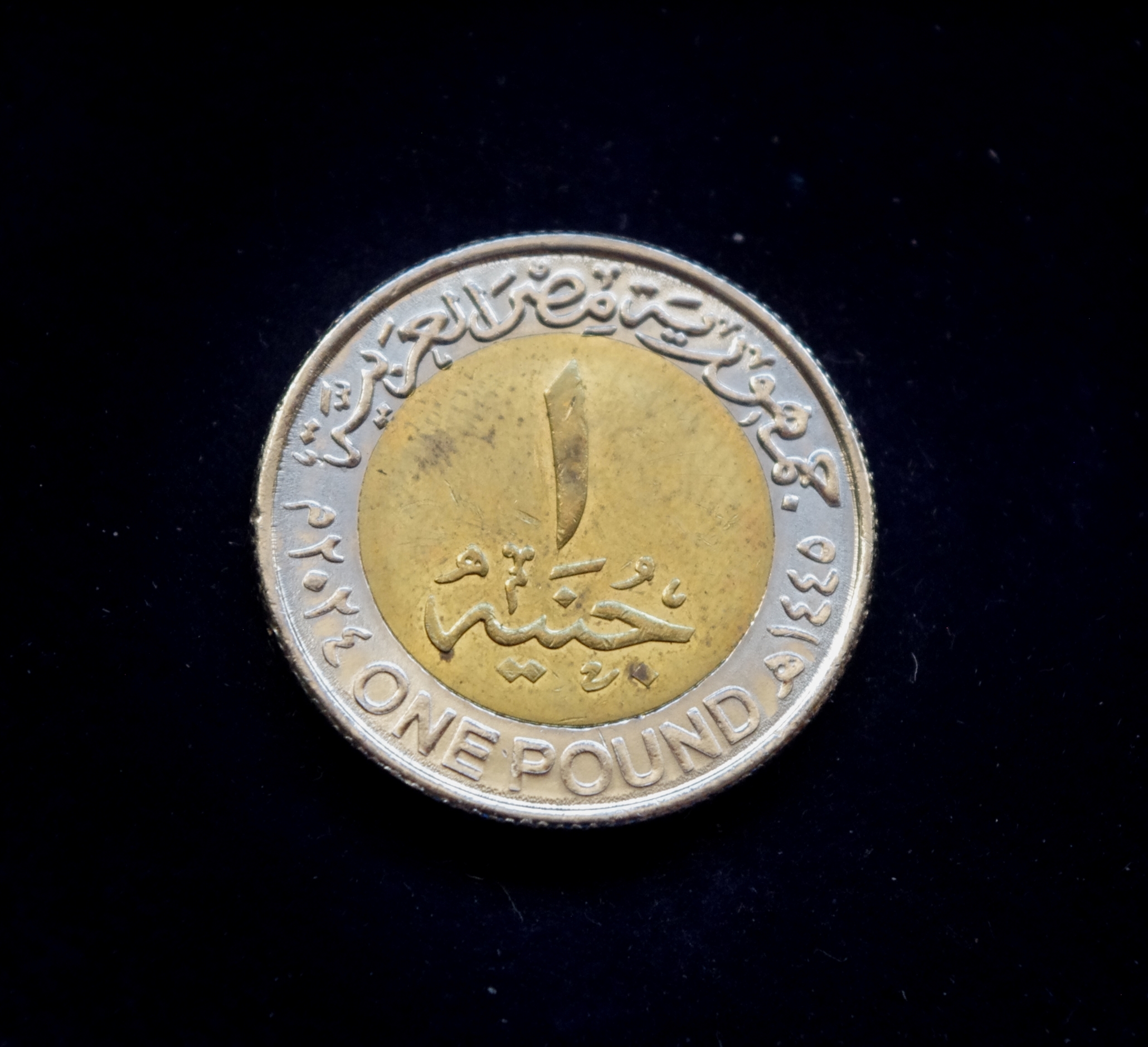 Egipto 1 svaro moneta