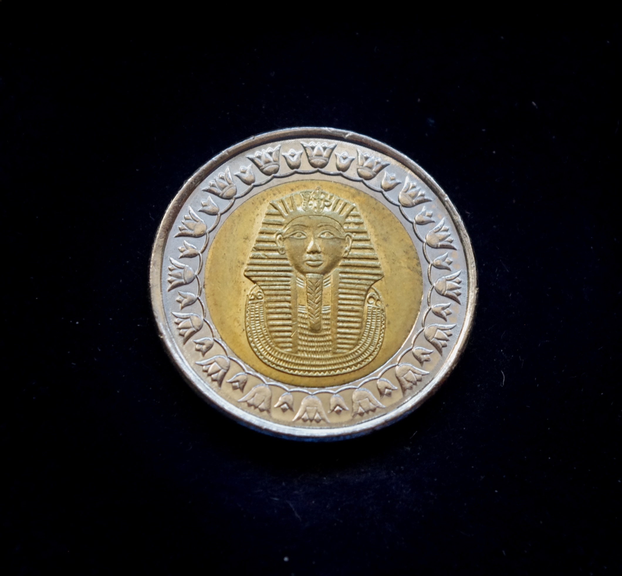 Egipto 1 svaro moneta