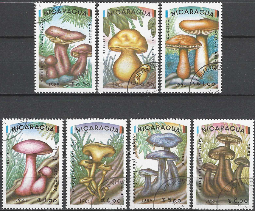Pašto ženklai, Nikaragva. Grybai