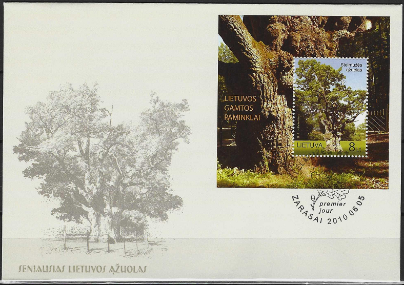Pirmos dienos vokas. Lietuvos gamtos paminklai: Stelmužės ąžuolas