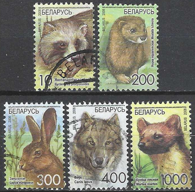 pašto ženklai, Baltarusija. Standartinių pašto ženklų laida. Usūrinis šuo, europinė audinė, rudasis kiškis, vilkas, pušinė audinė