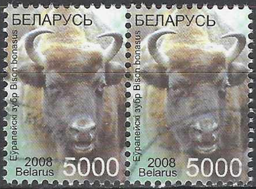 pašto ženklas, Baltarusija. Standartinių pašto ženklų laida. Stumbras