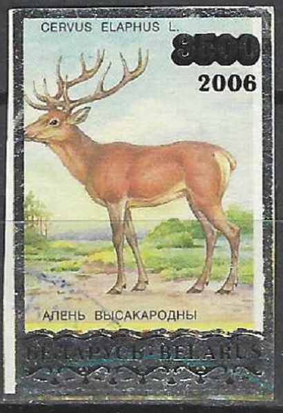 pašto ženklas, Baltarusija. Penktoji nacionalinė filatelijos paroda „BELFILA 2006“, Gardinas