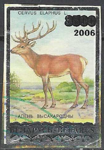 pašto ženklas, Baltarusija. Penktoji nacionalinė filatelijos paroda „BELFILA 2006“, Gardinas