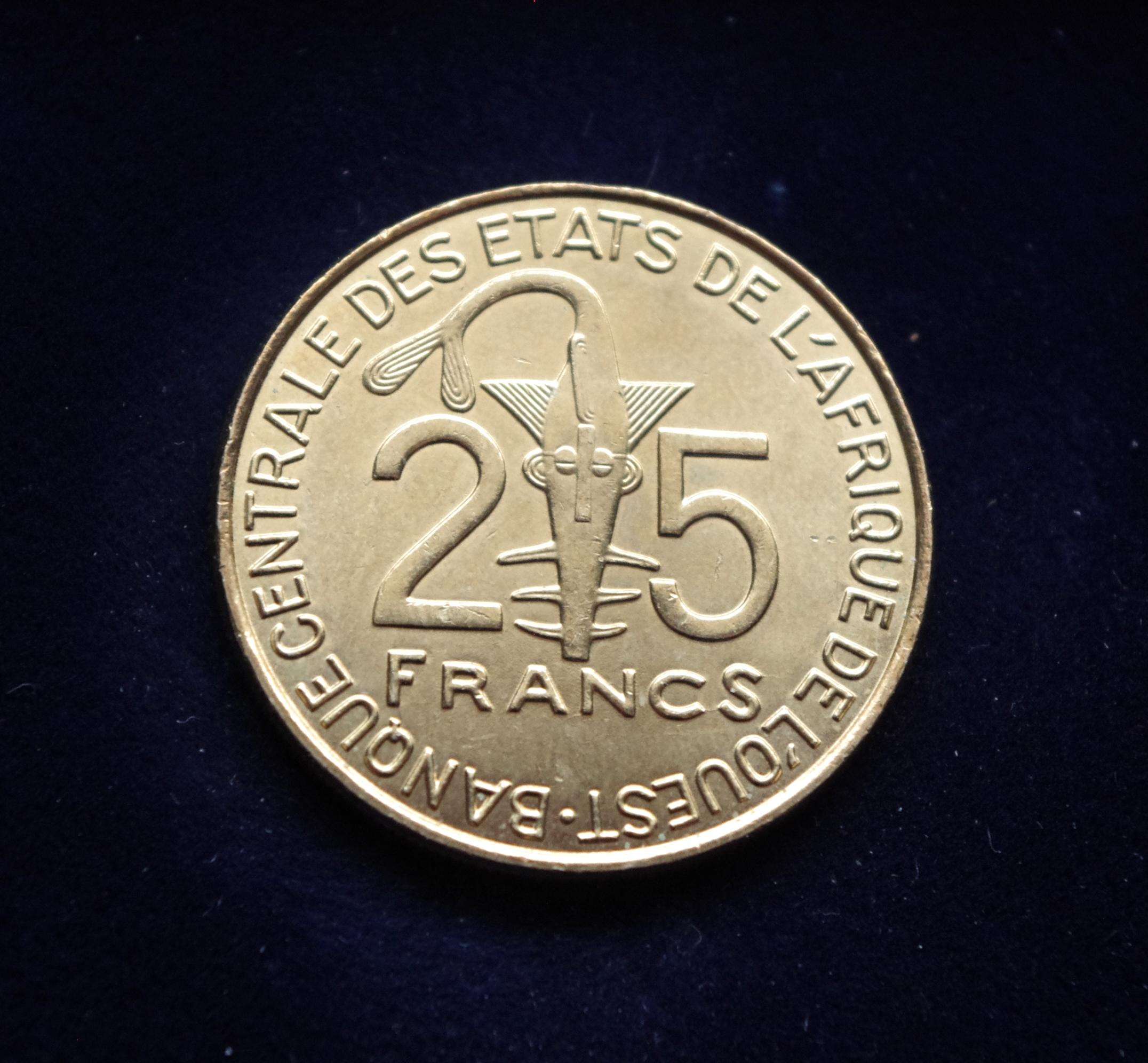 Vakarų Afrikos 25 frankų moneta. Pjūklažuvė