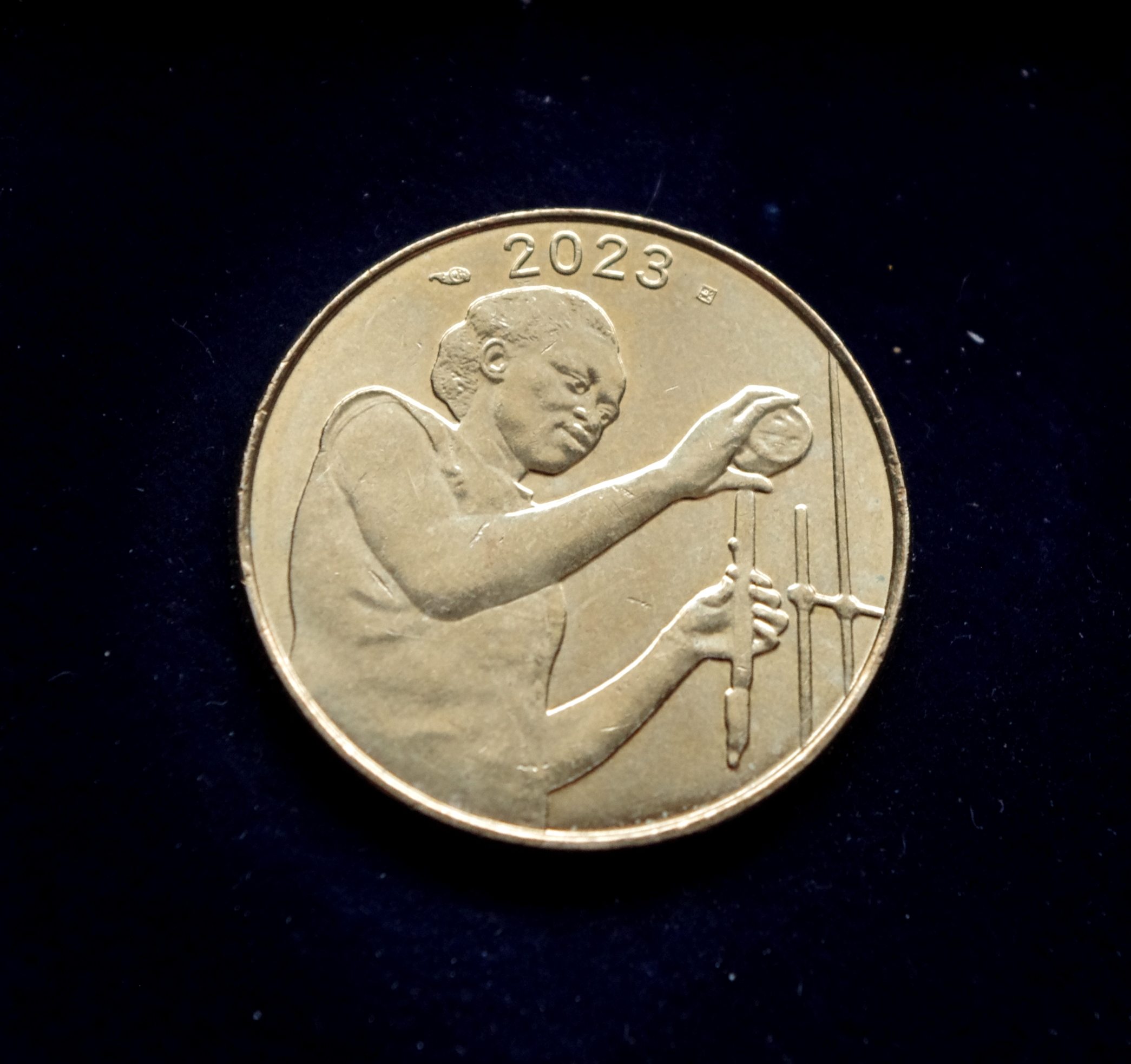 Vakarų Afrikos 25 frankų moneta. Pjūklažuvė