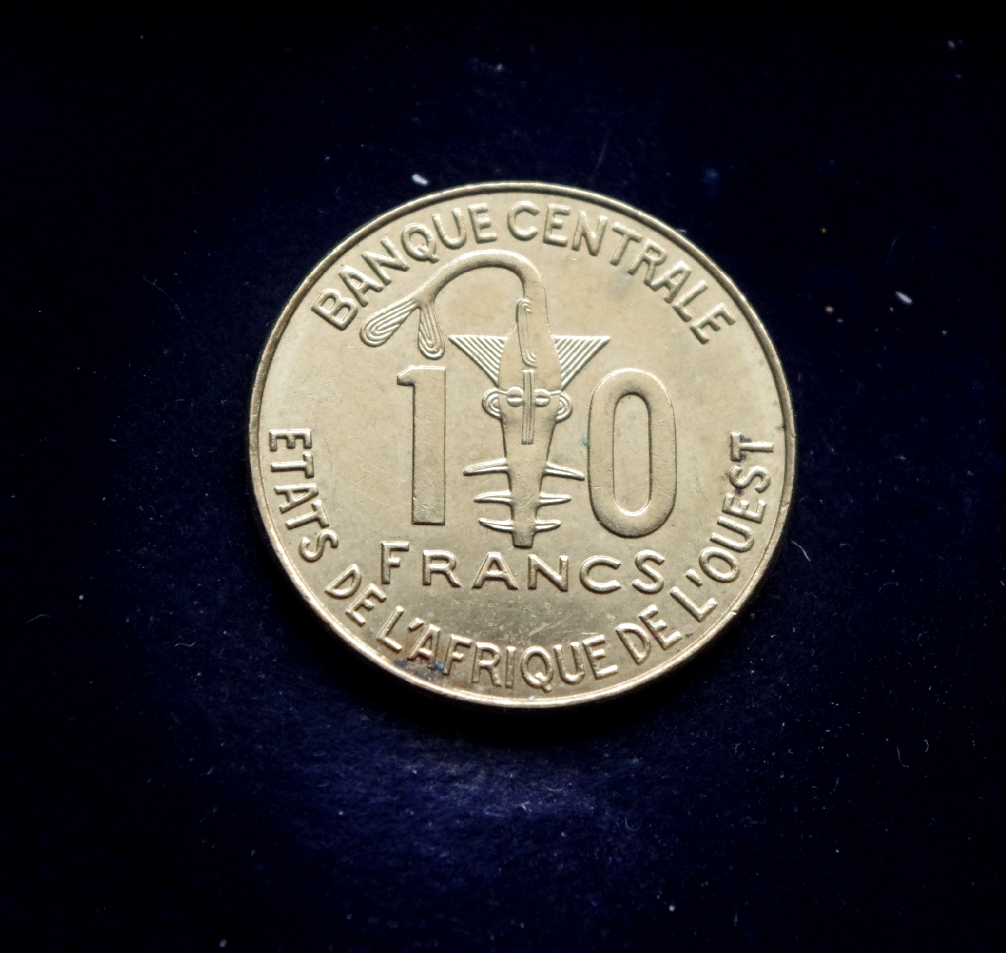 Vakarų Afrikos 25 frankų moneta. Pjūklažuvė, FAO