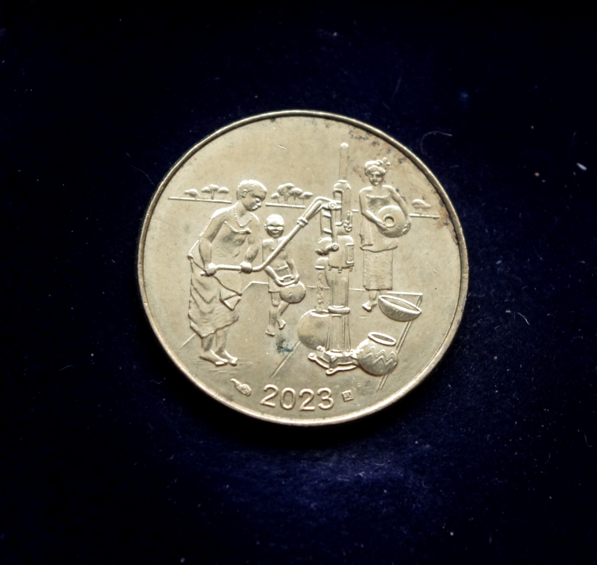 Vakarų Afrikos 25 frankų moneta. Pjūklažuvė, FAO