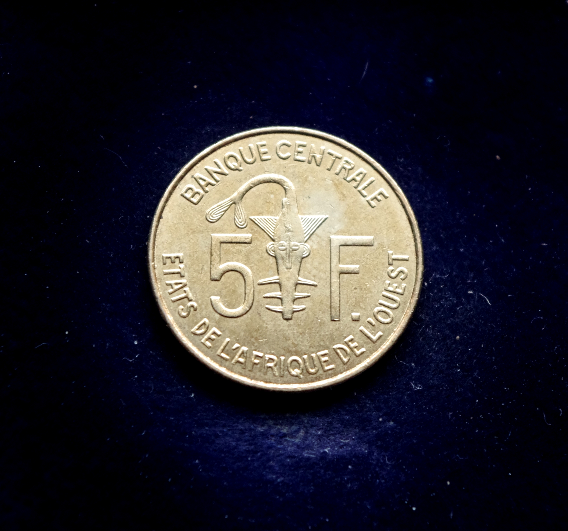 Vakarų Afrikos 25 frankų moneta. Pjūklažuvė, gazelė