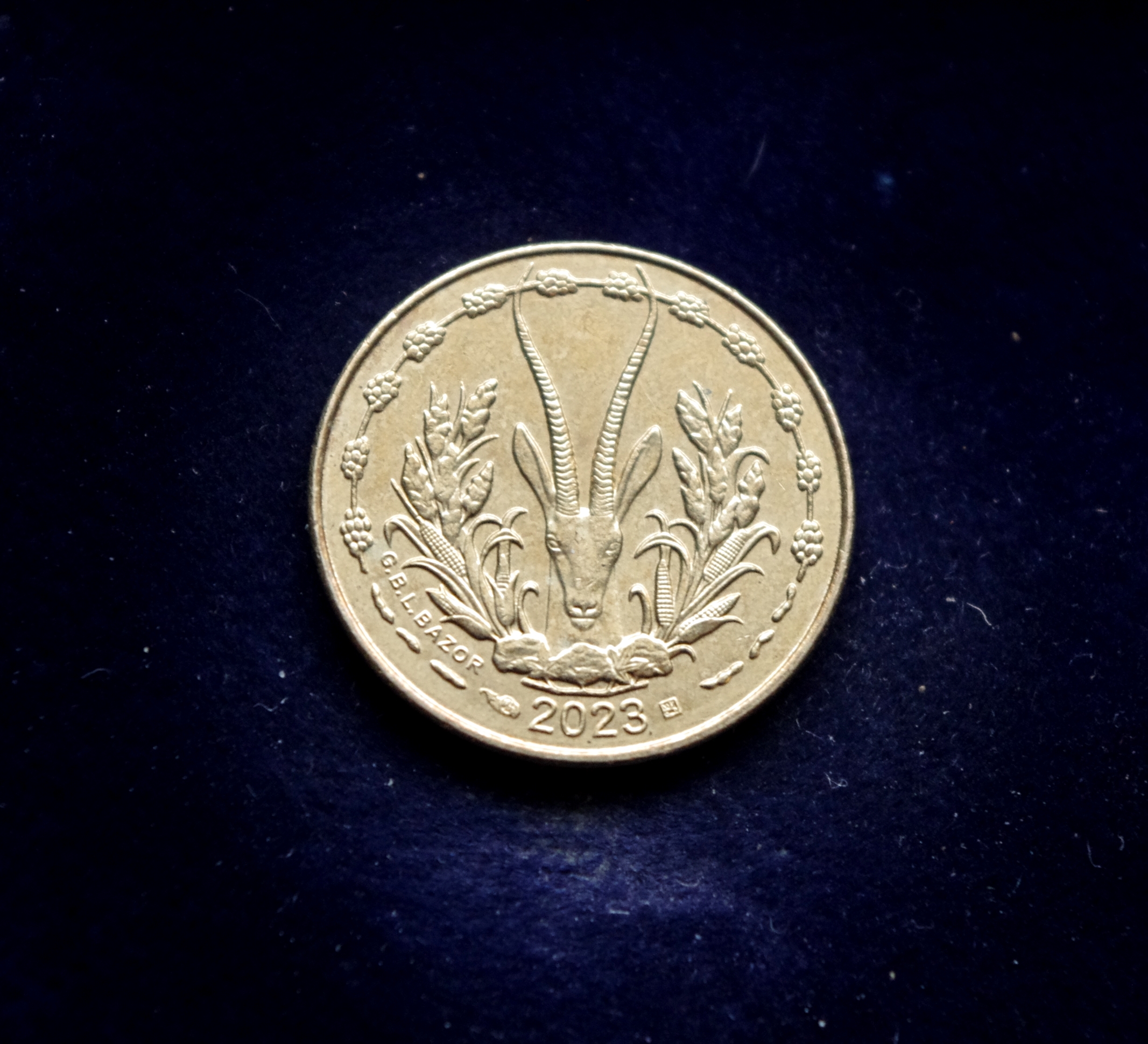 Vakarų Afrikos 25 frankų moneta. Pjūklažuvė, gazelė