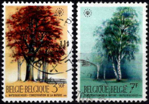 Europos gamtos apsaugos metai