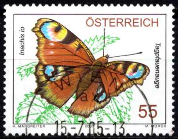 Vietinė fauna: Spungė