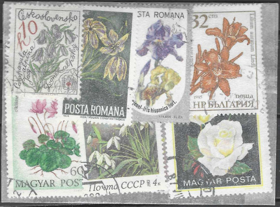 Pašto ženklų pakuotė. Gėlės