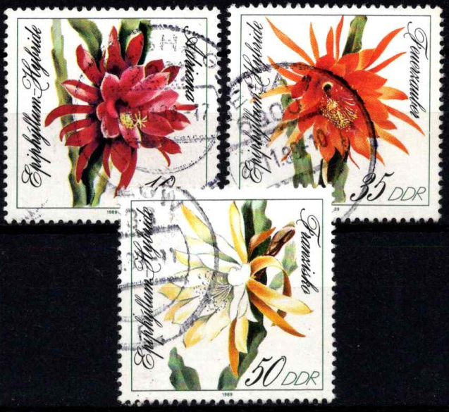 Lapinių kaktusų rūšys