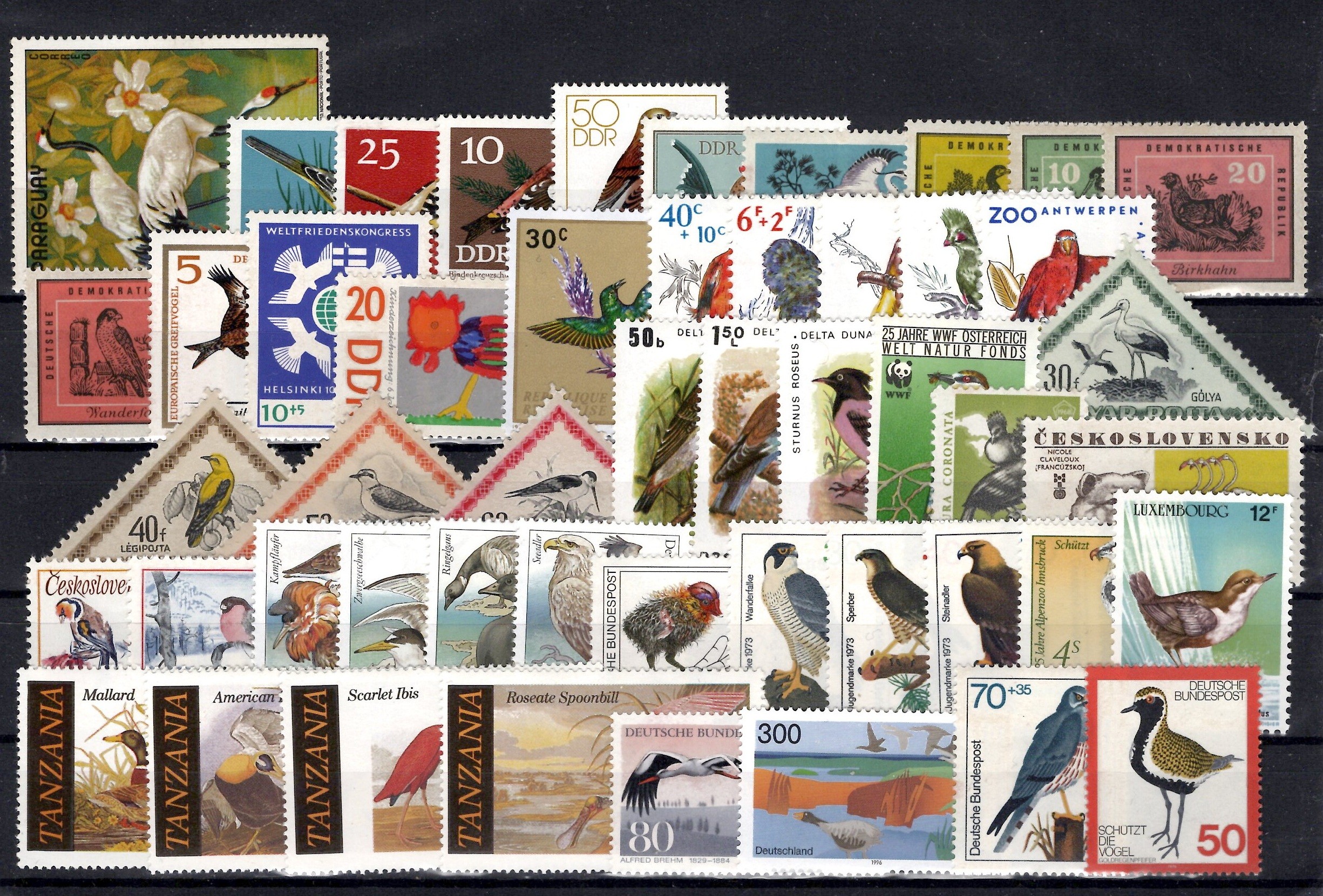 Pašto ženklai gyvūnijos tematika: Paukščiai, visas pasaulis