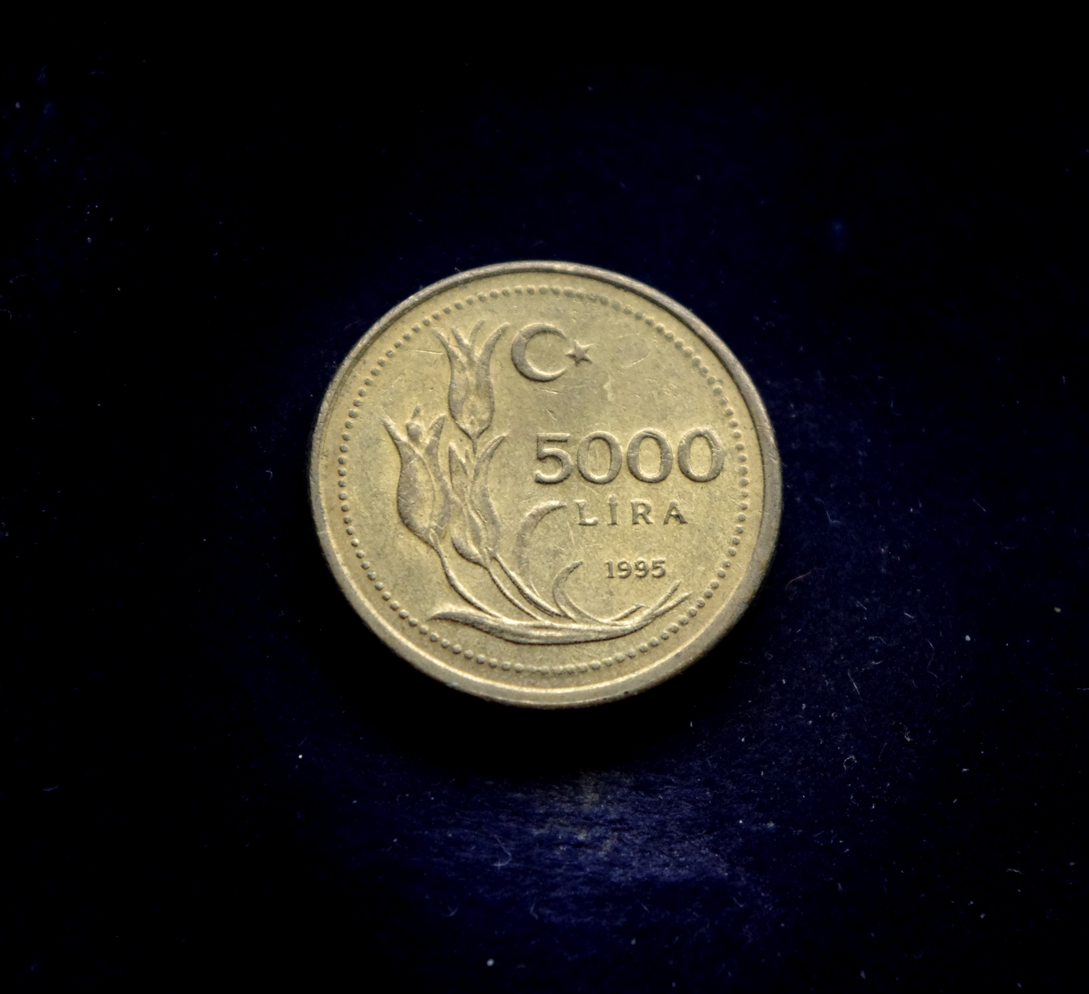 Turkijos 5000 lirų moneta