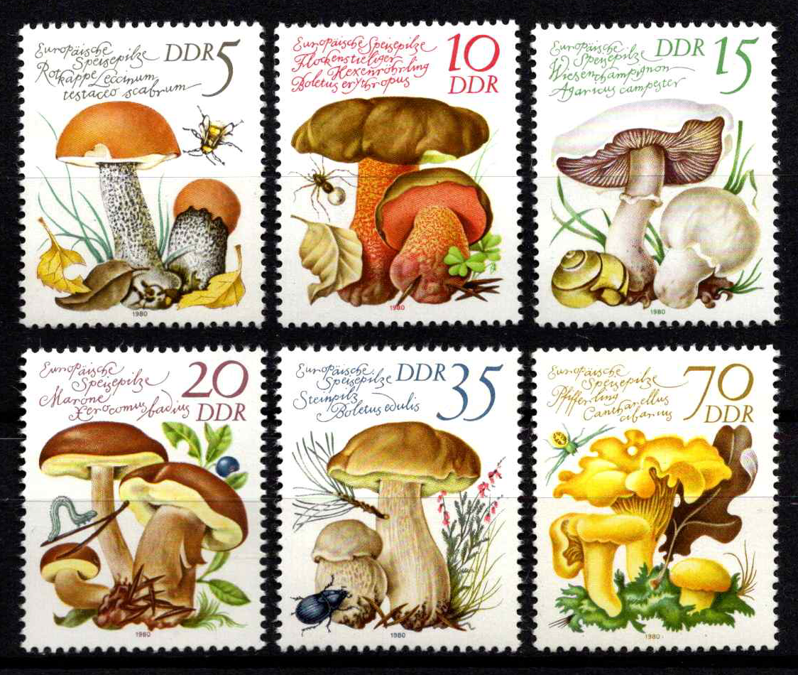 Vokietijos Demokratinė Respublika (VDR), pilna serija, MiNr 2551-2556 MNH**