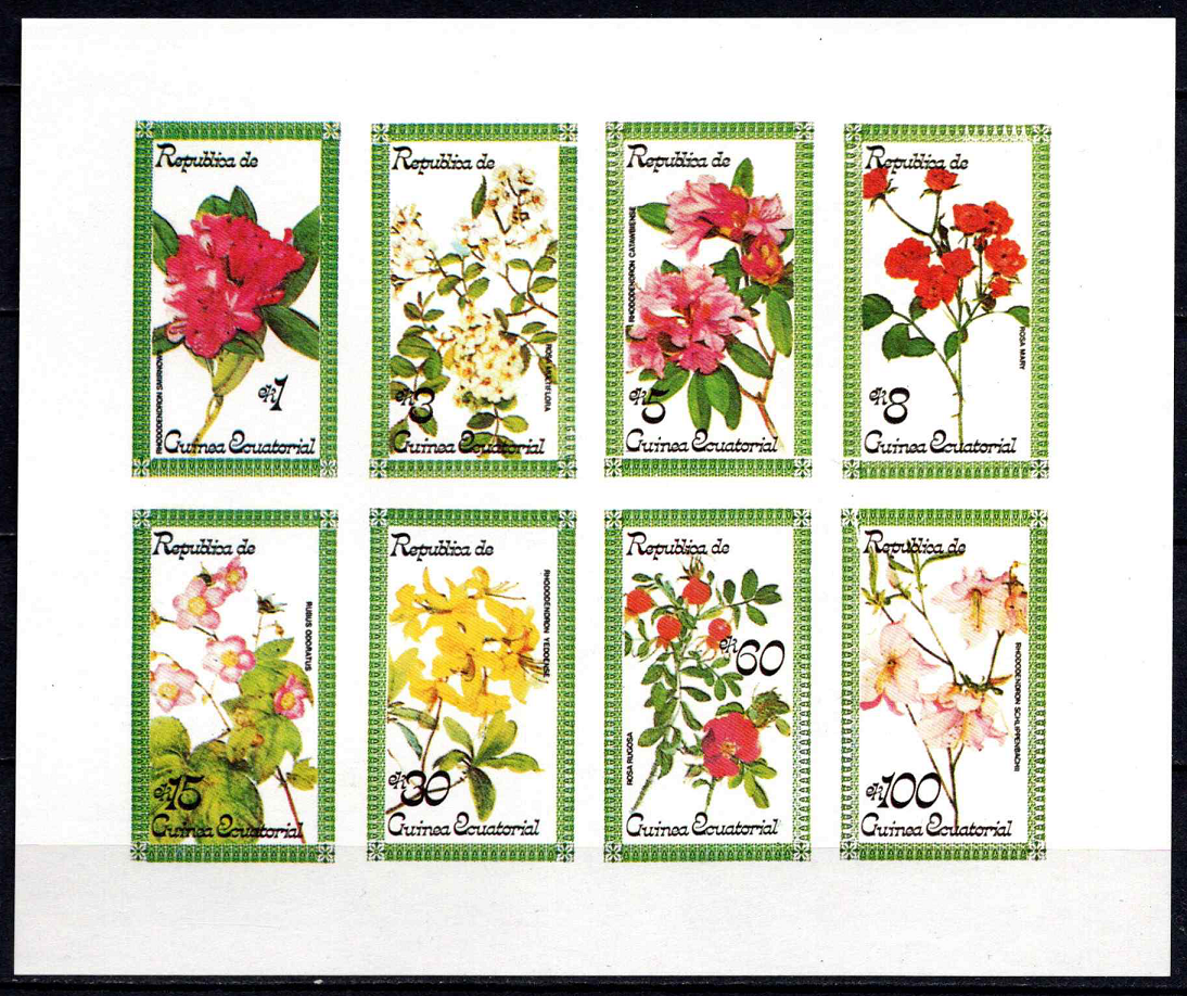 Pusiaujo Gvinėja, blokas YtNr 126nd MNH**