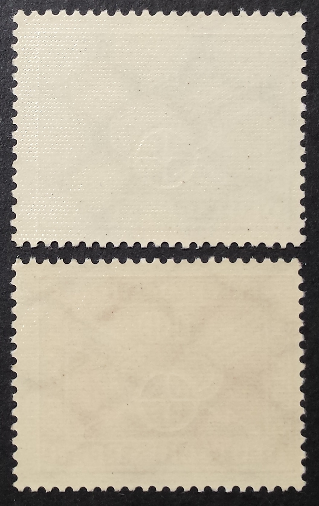 Vokietijos Reichas, pilna serija MiNr 370-371 (Y) MNH**