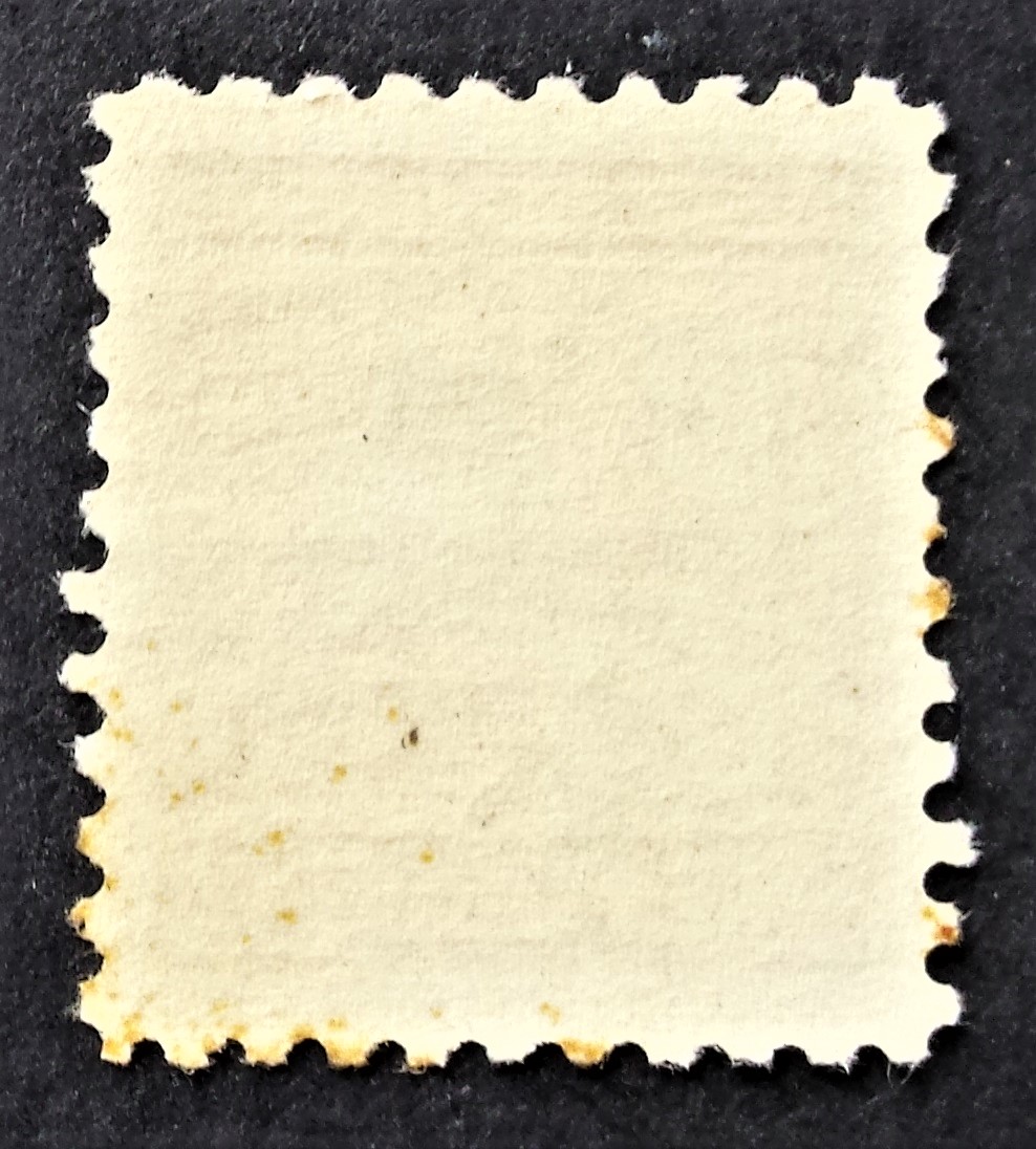 Vokietijos Reichas, Sudetų žemės, Rumburgas MiNr 3 MNH**