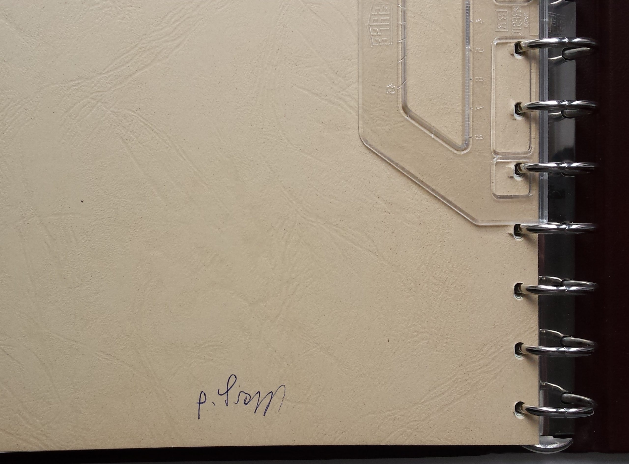 Albumas pašto ženklams, blokams, kitai filatelinei medžiagai SAFE Albumas pašto ženklams, blokams, kitai filatelinei medžiagai SAFE