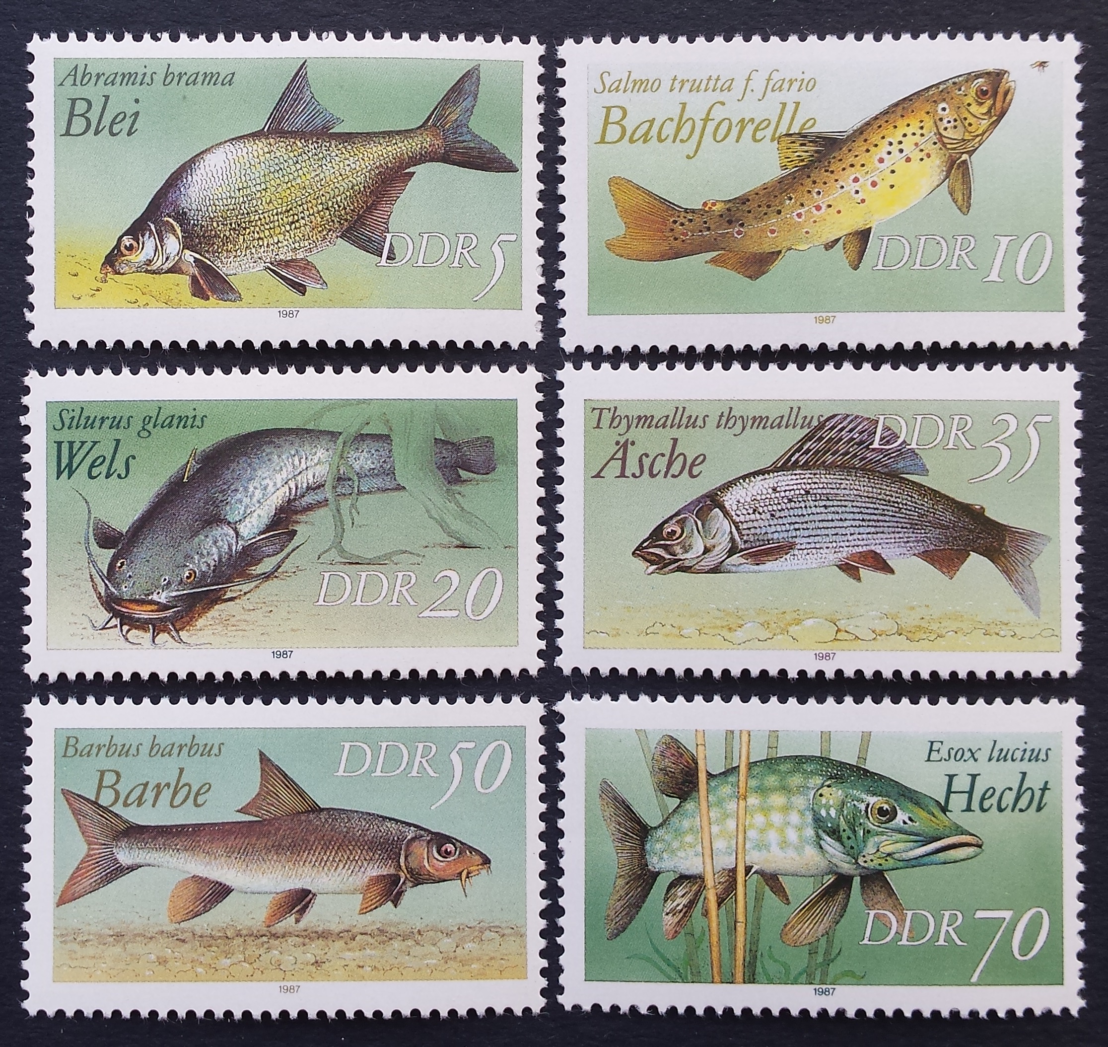 Vokietijos Demokratinė Respublika (VDR), pilna serija, MiNr 3095-3100 (I) MNH**