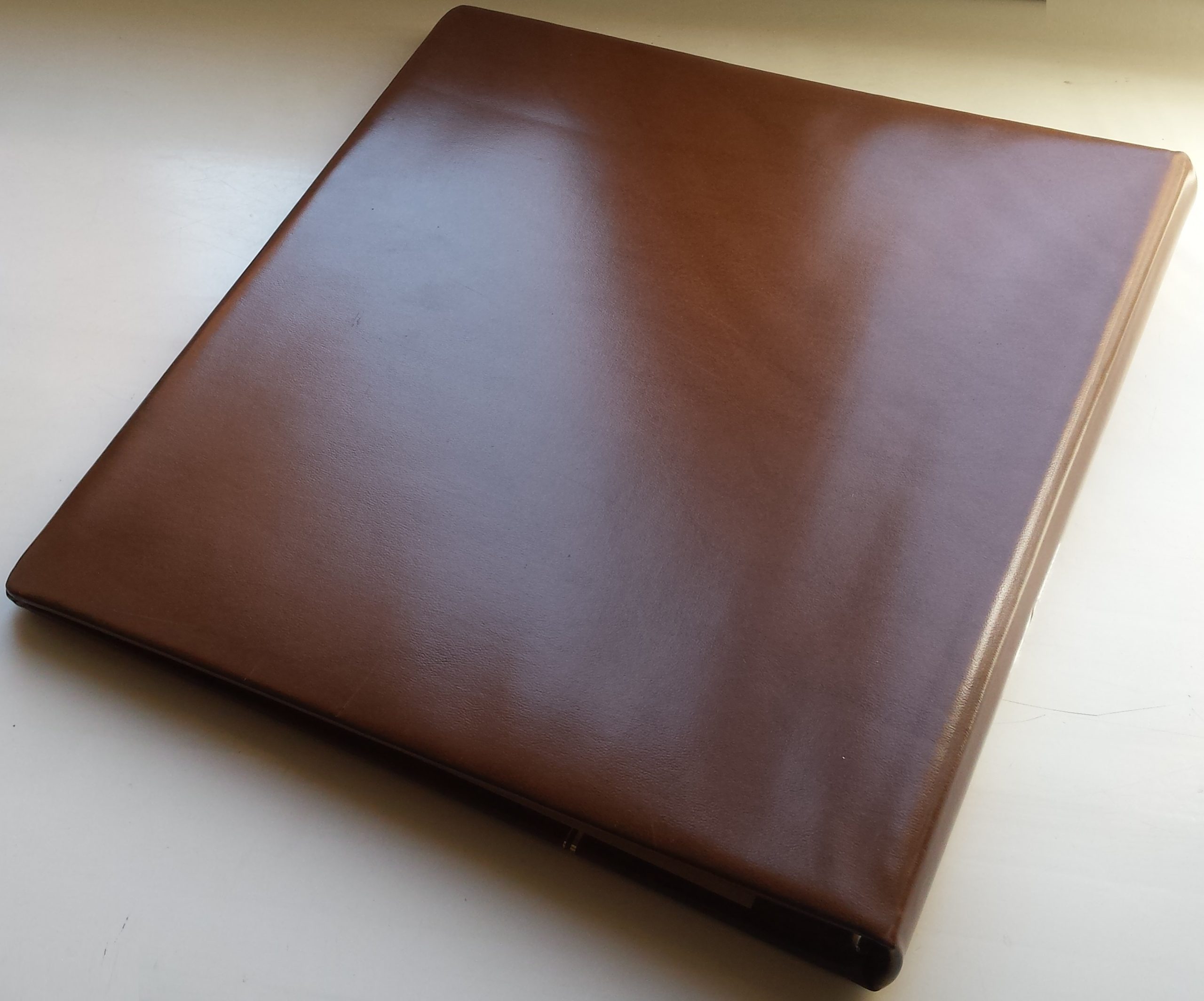 Albumas Estijos 1991-1995 m. pašto ženklams SAFE Albumas Estijos 1991-1995 m. pašto ženklams SAFE