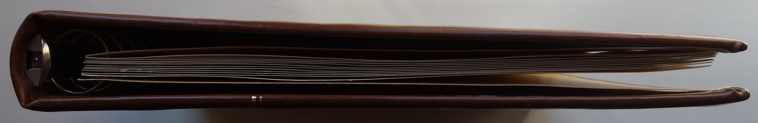 Albumas Estijos 1991-1995 m. pašto ženklams SAFE Albumas Estijos 1991-1995 m. pašto ženklams SAFE