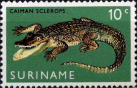 Surinamas, MiNr 558 MNH**
