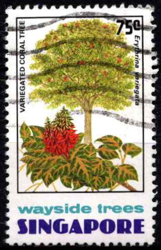 Singapūras, MiNr 249 Used (O)