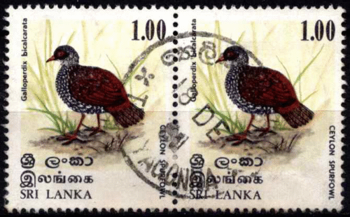 Šri Lanka, horizontali pora, MiNr 515 Used (O)