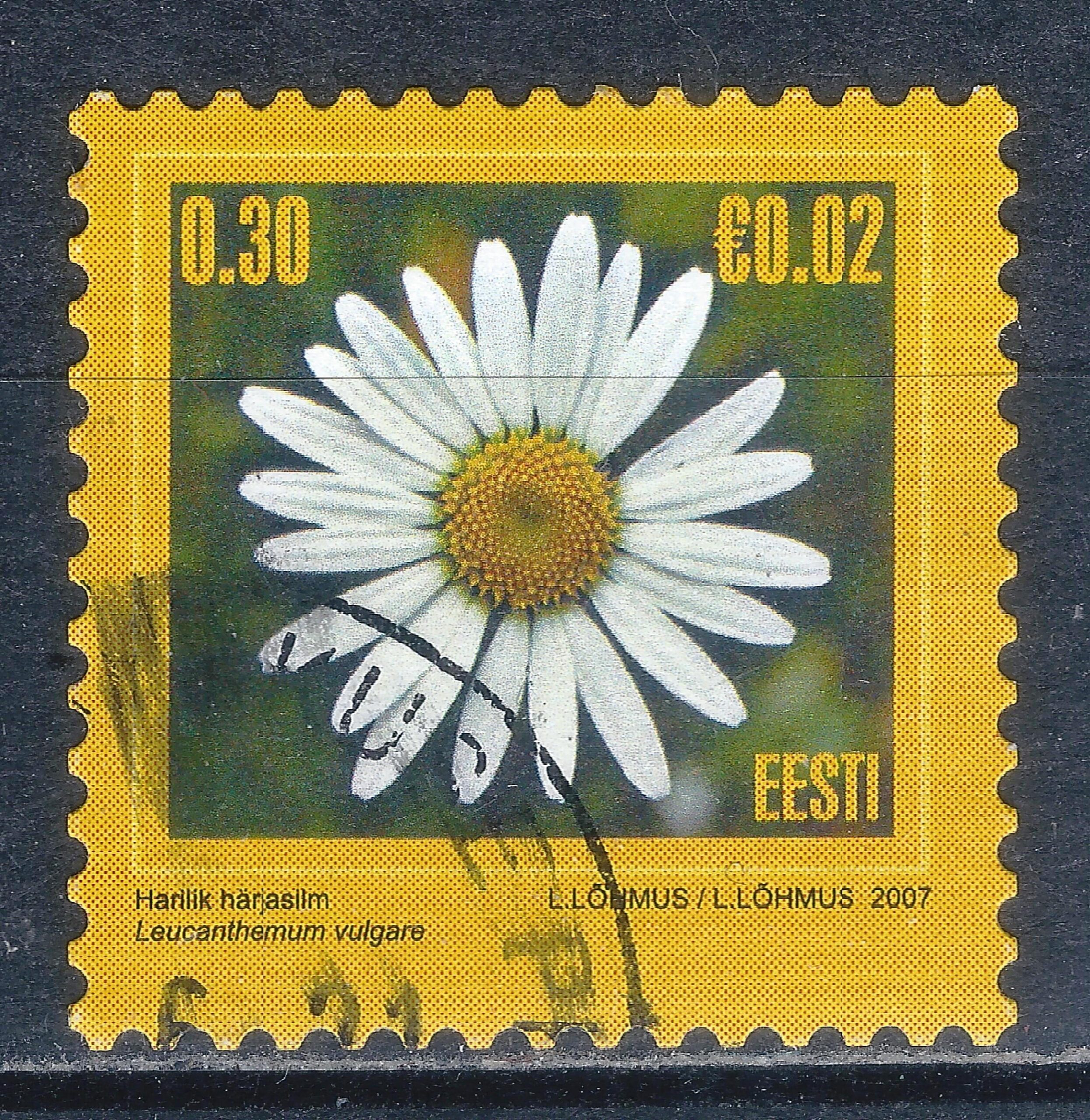 Estija MiNr 574 Used(O)