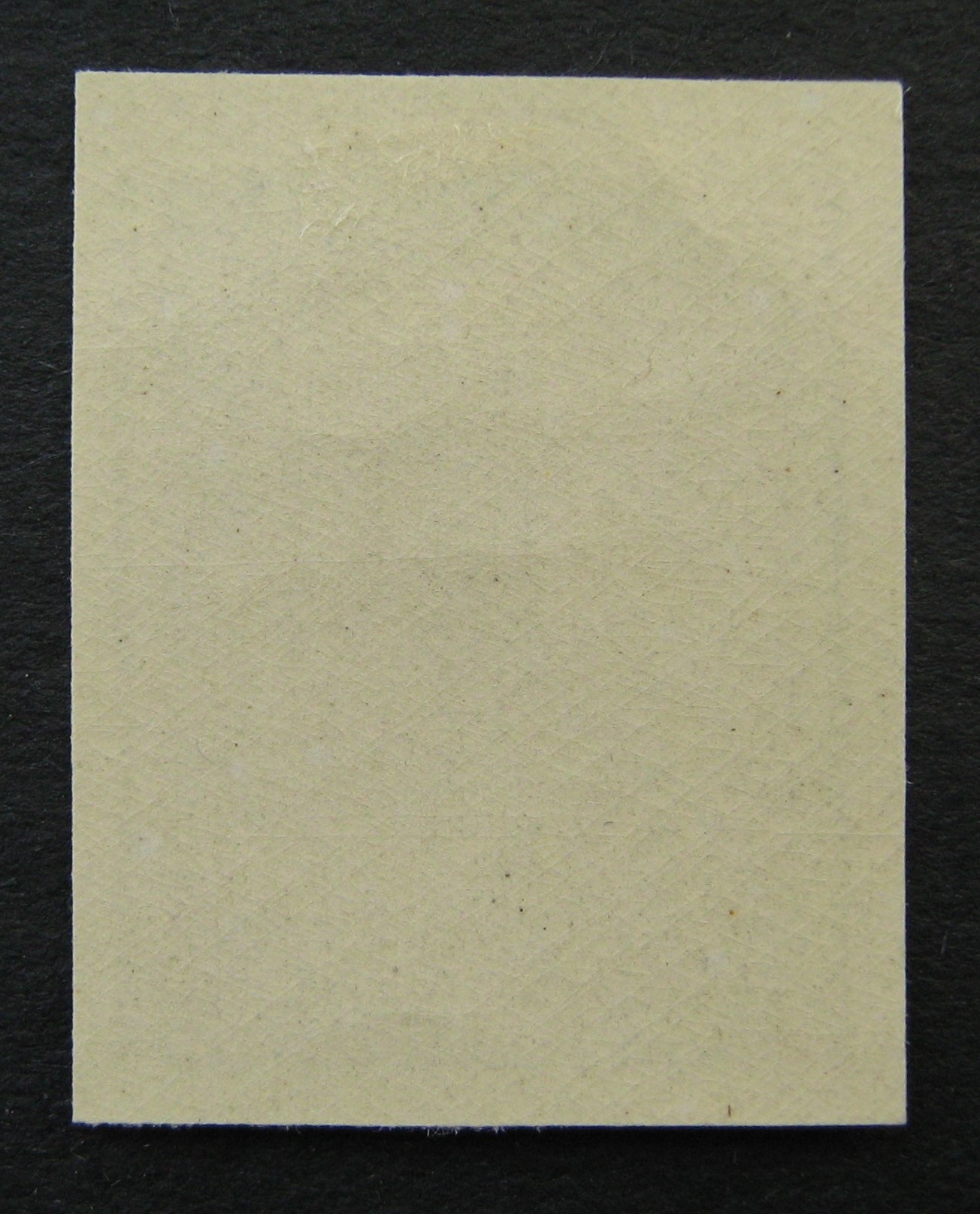 Vokietijos Reichas, Lenkijos okupacija, MiNr 110U MLH*