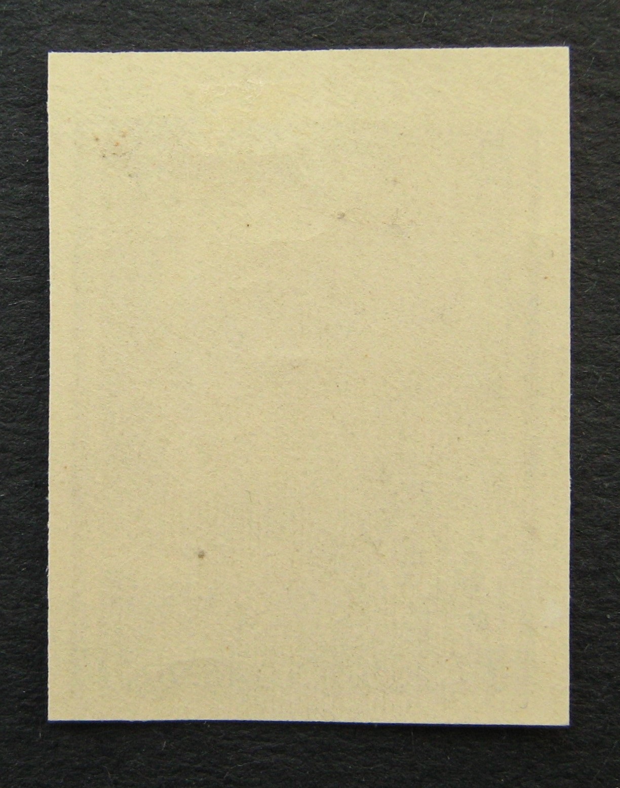 Vokietijos Reichas, Lenkijos okupacija, MiNr 111U MLH*