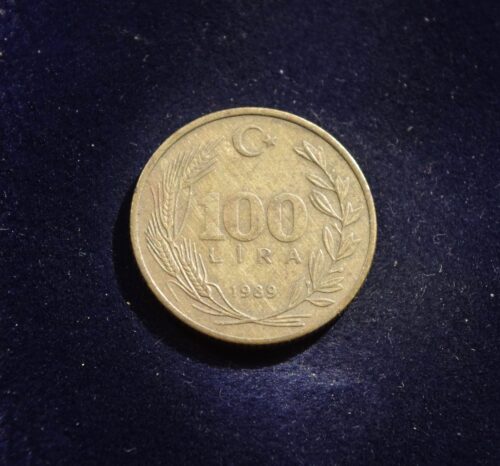 Turkija, 100 lirų 1989m