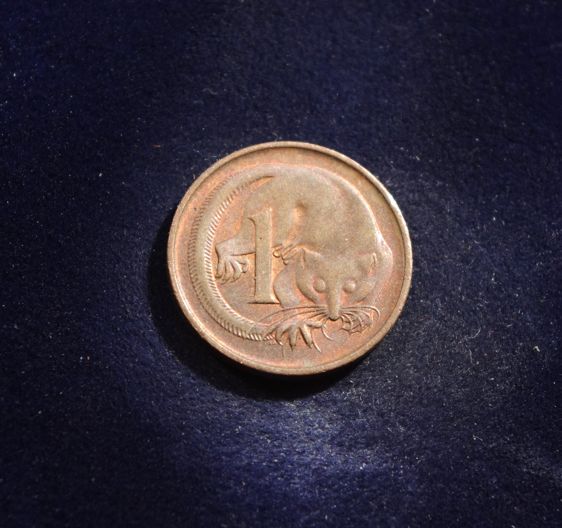 Australija, 1 centas 1984m