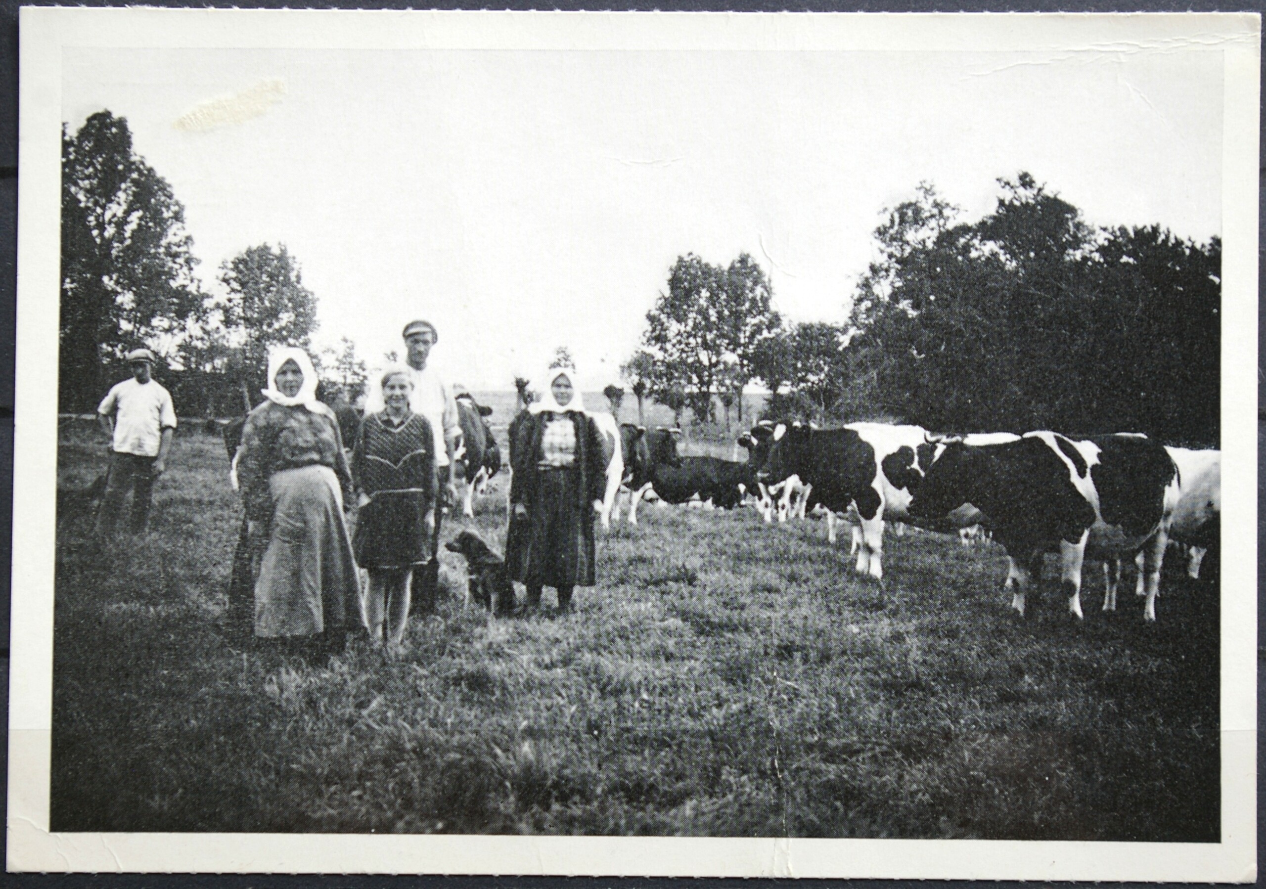 Memel (Klaipėda) senas atvirlaiškis