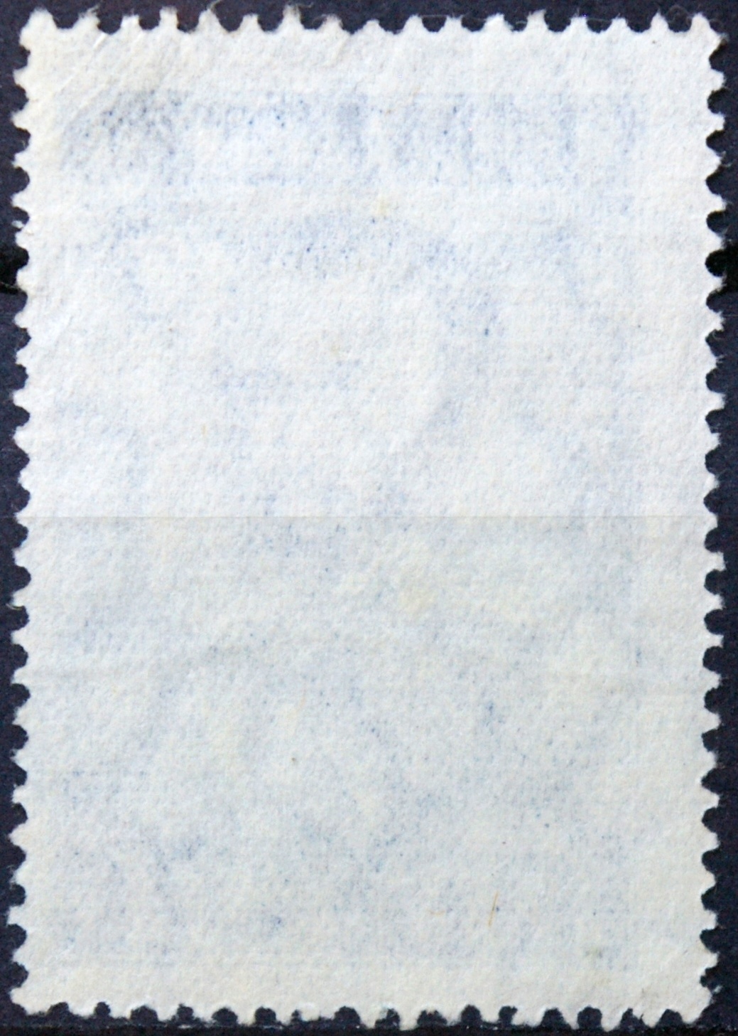 Argentina ScNr 479 Used(O) E