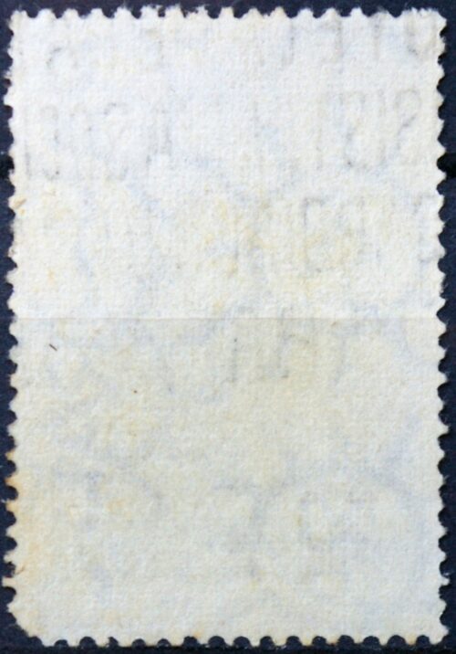 Argentina ScNr 481 Used(O) E