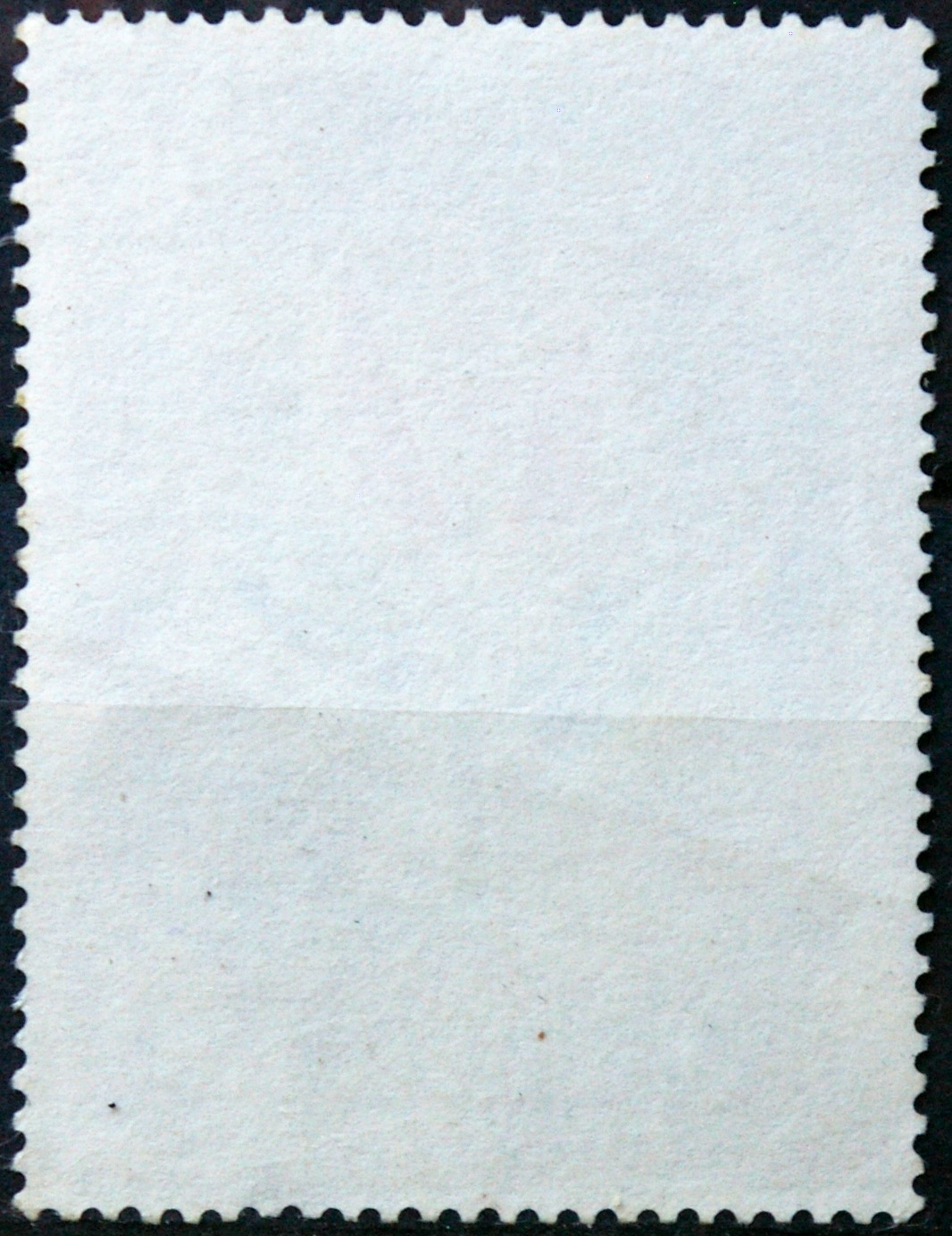 Argentina ScNr 963 Used(O) E